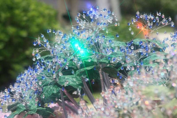 【東京都内発※町田を除く】 あじさい咲く!箱根ガラスの森『あじさい庭園』 約50種和洋中ランチビュッフェ『箱根ホテル小涌園』と鈴廣かまぼこの里2